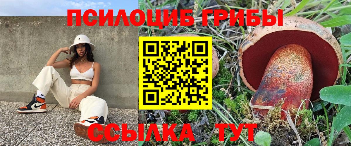 где продают   Вход с VPN  Новороссийск  Галлюциногенные грибы Psilocybe 